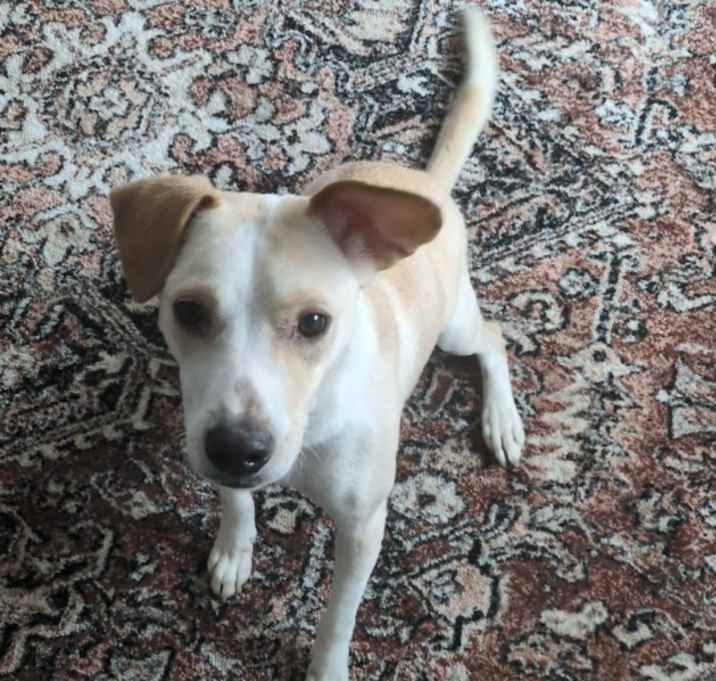 Photo of Perseus
