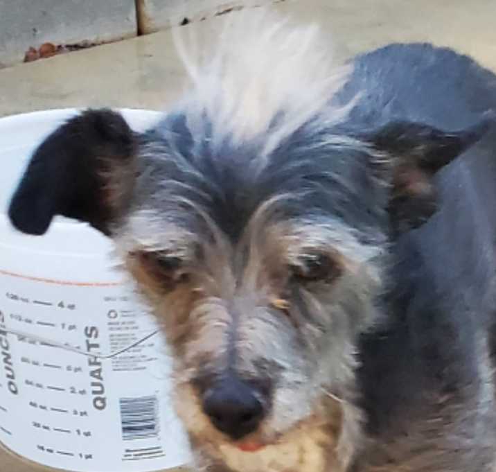 Photo of Truffle
