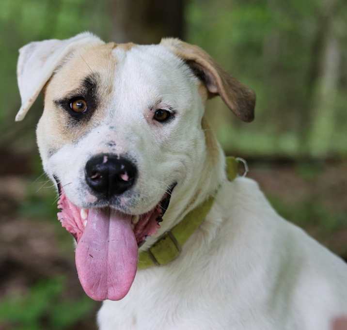 Photo of Smiley