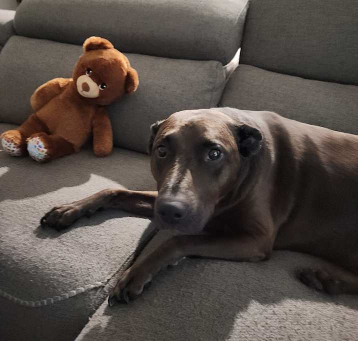 Photo of Cassie