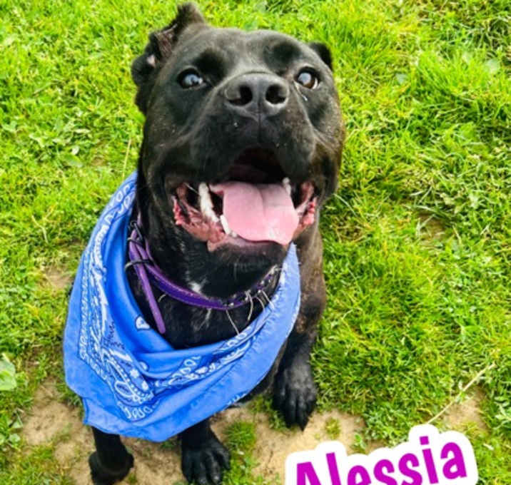 Photo of Alessia