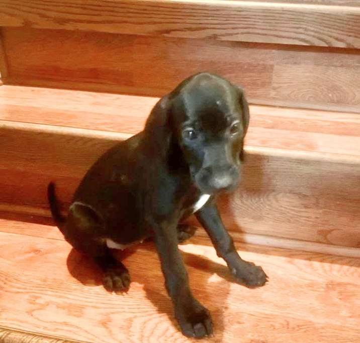 Photo of Little Lady