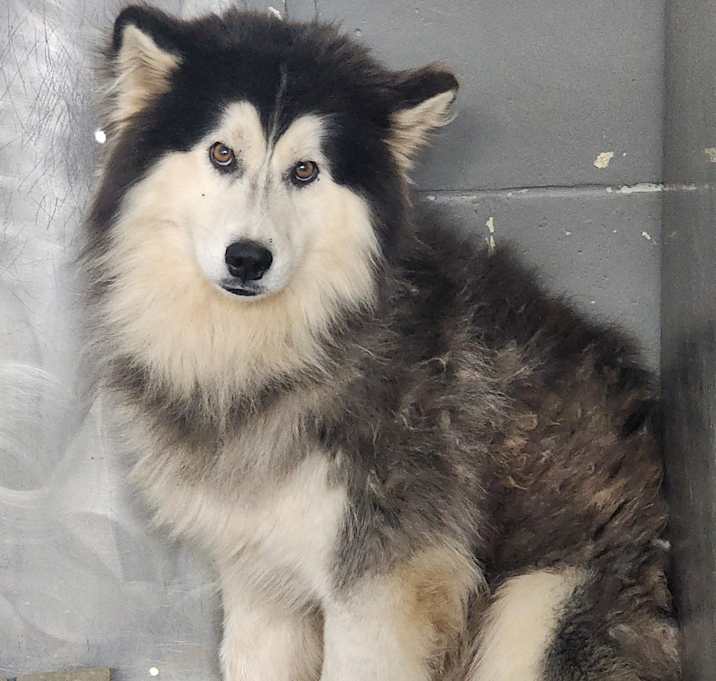 Photo of Kevin