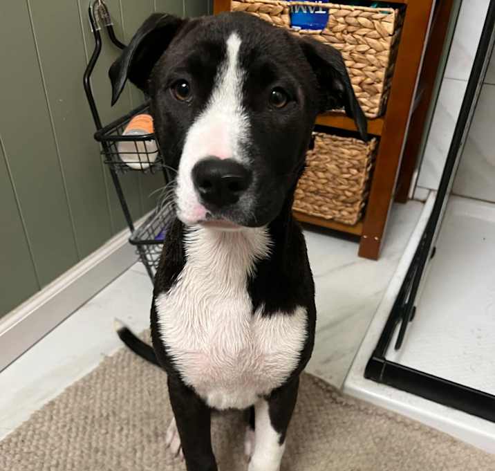 Photo of Winnie