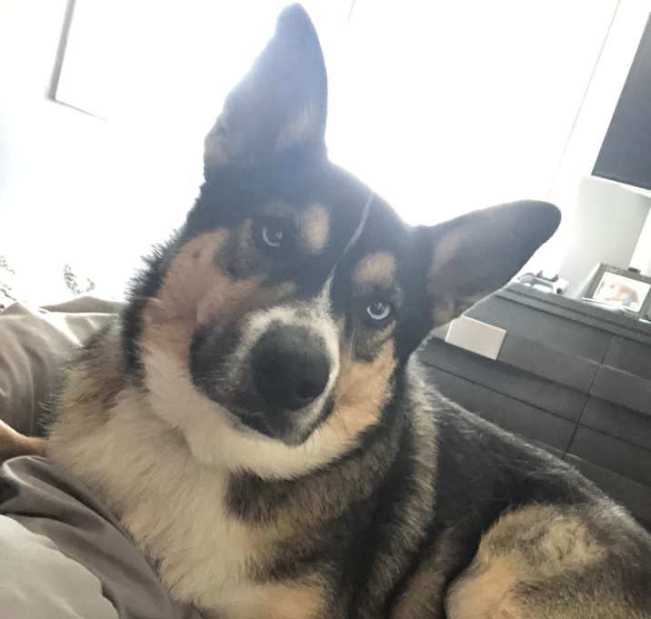 Photo of Coco