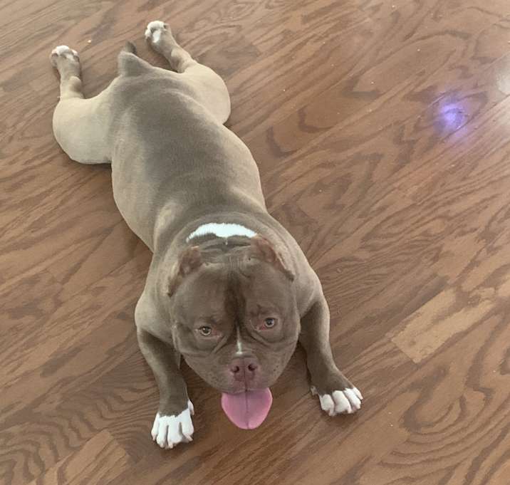 Photo of Maddogg