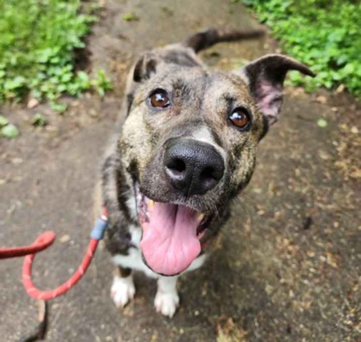Photo of Nellie