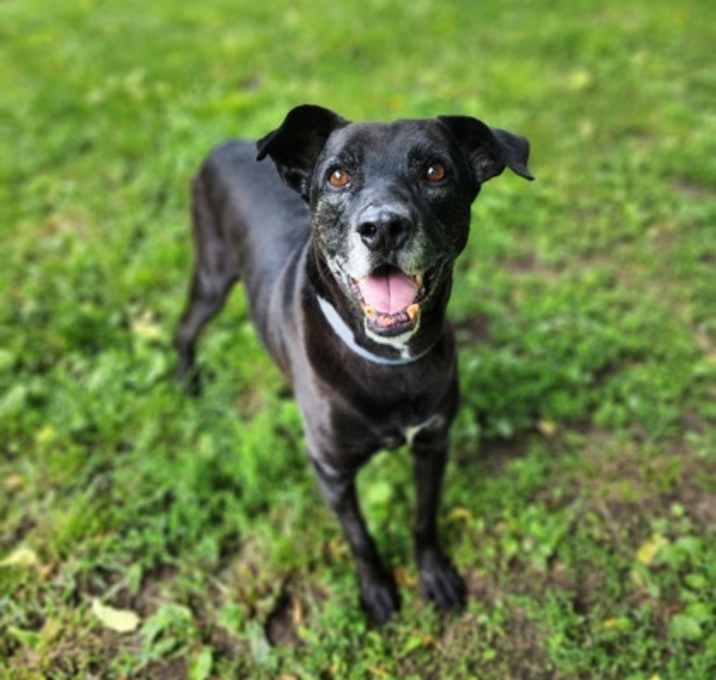 Photo of Frank*Special needs