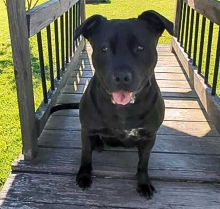 Photo of Luna