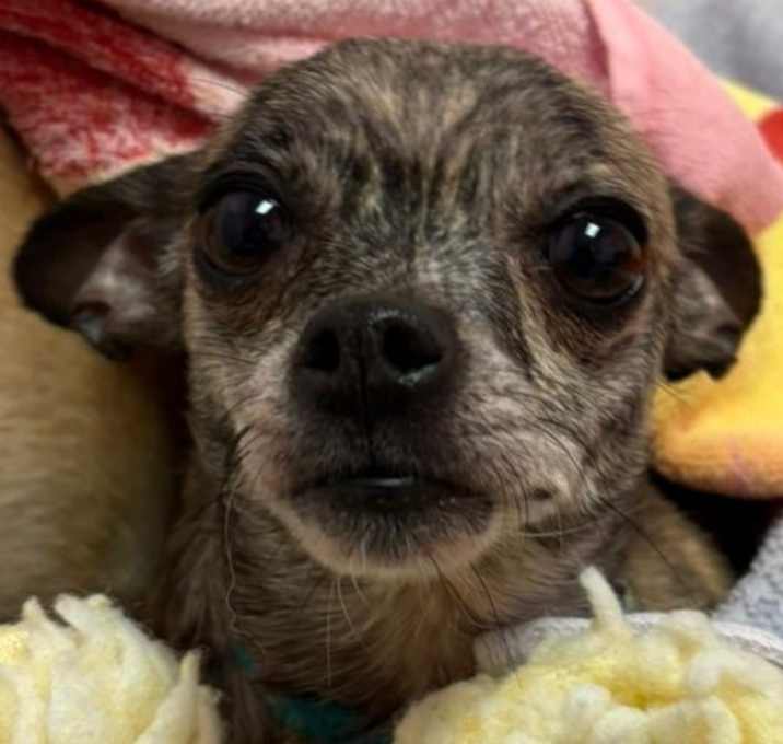 Photo of Chloe
