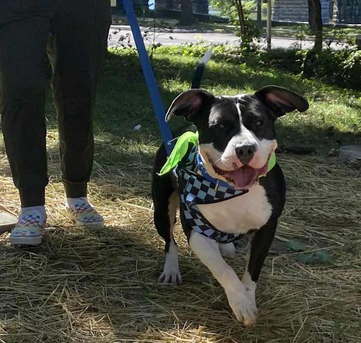 Photo of Annie