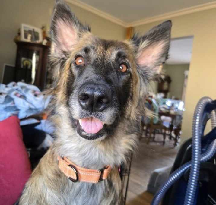 Photo of Skye