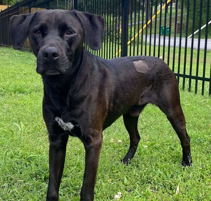 Photo of Smokey