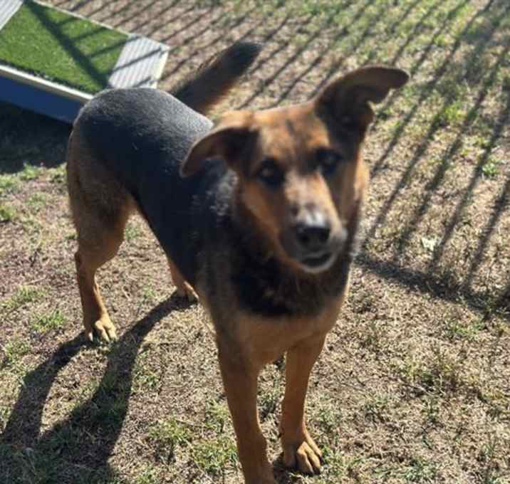 Photo of TACO