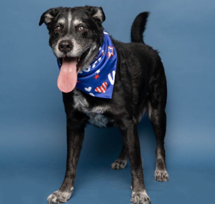 Photo of Ralphie