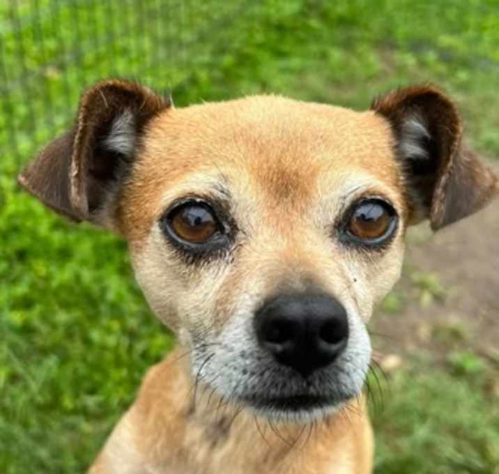Photo of Holly