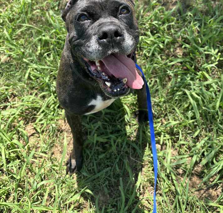 Photo of Nyla