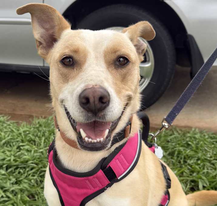 Photo of Nala Kai