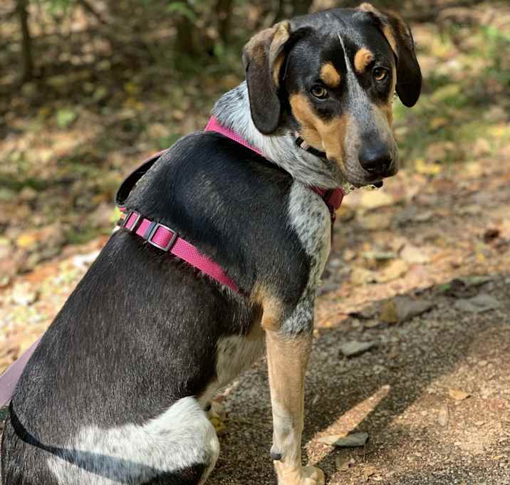 Photo of Lulu