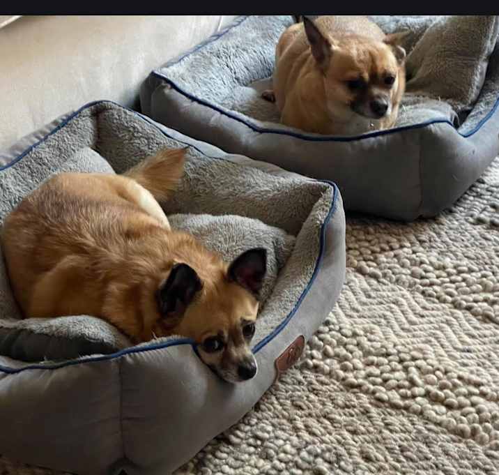 Photo of Sadie and Sally