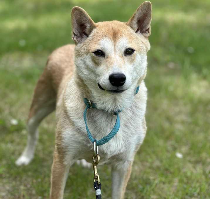 Photo of Marnie