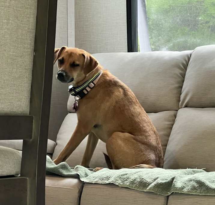 Photo of Rosie
