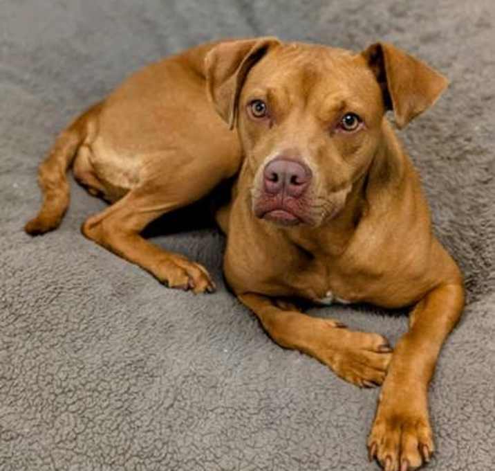 Photo of Zelda