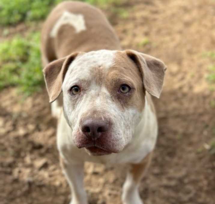 Photo of Sasha