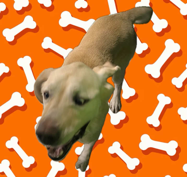 Photo of GUMBY