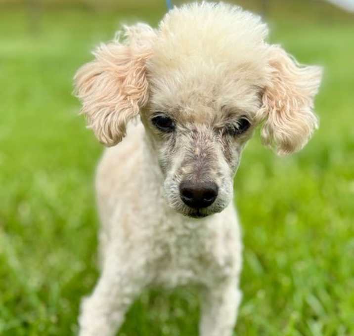 Photo of Chip Mar 25