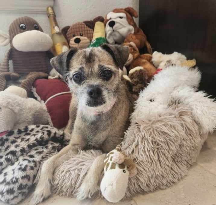 Photo of Lily