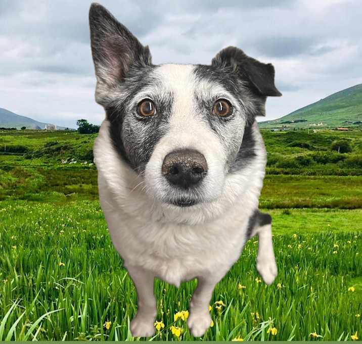 Photo of JAKE