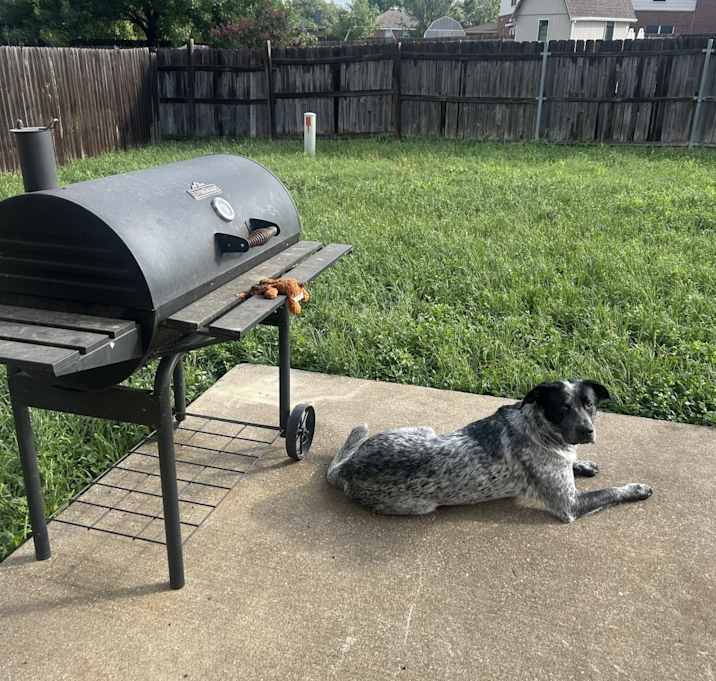 Photo of Snoop