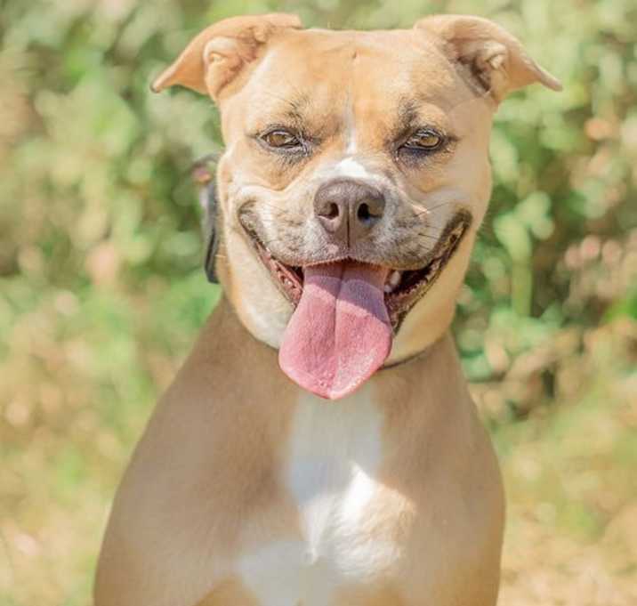 Photo of Daisy