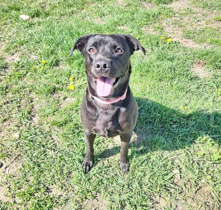 Photo of DAISY