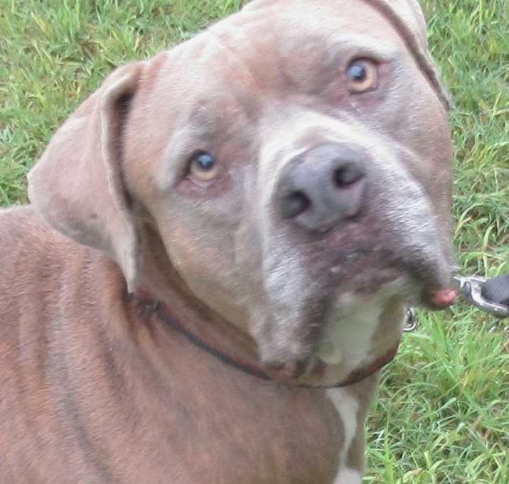 Photo of Tyson
