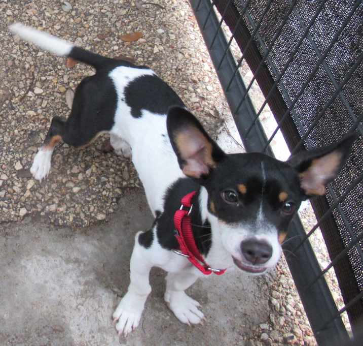 Photo of Randle