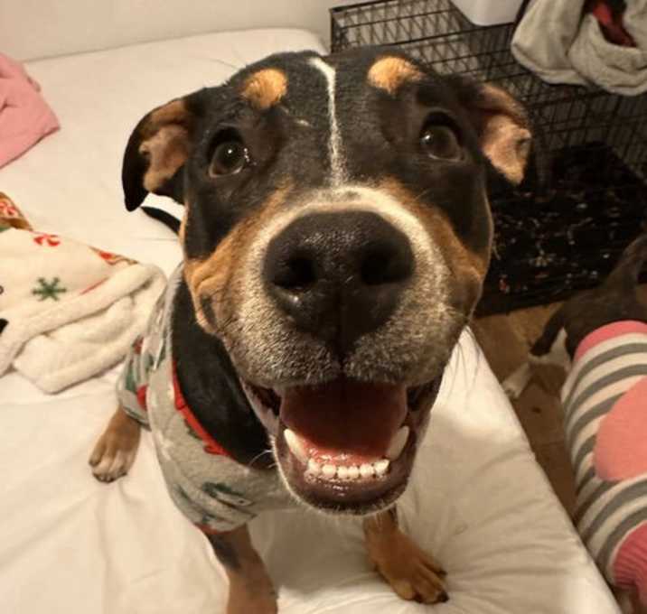 Photo of ZYLA