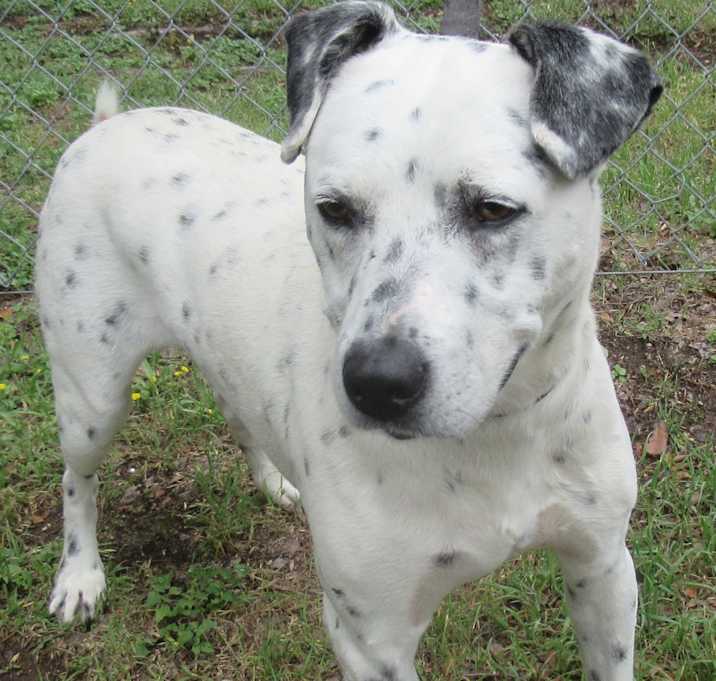 Photo of Quincy