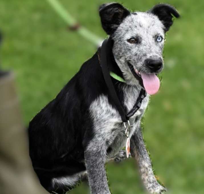 Photo of Savannah