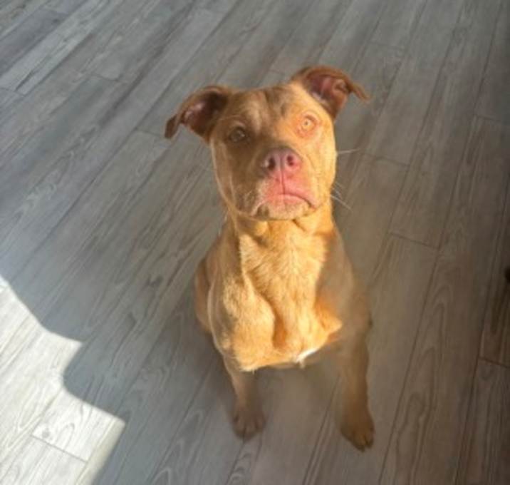 Photo of Whitney
