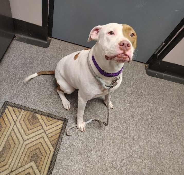 Photo of Lilly