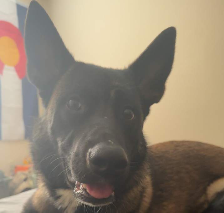 Photo of Freya