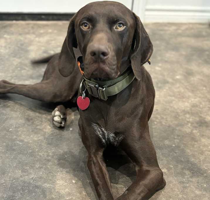 Photo of Charlie