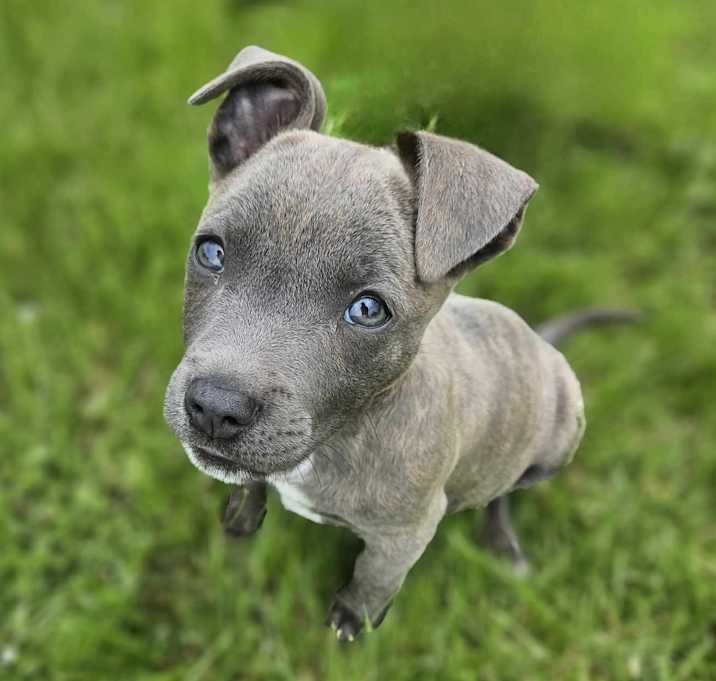 Photo of Sprout - Pre Approval