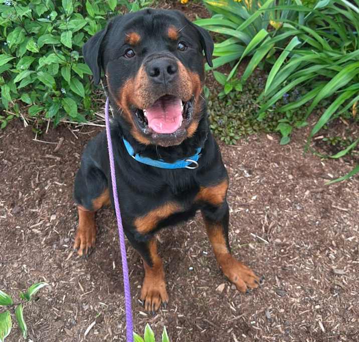 Photo of Vito