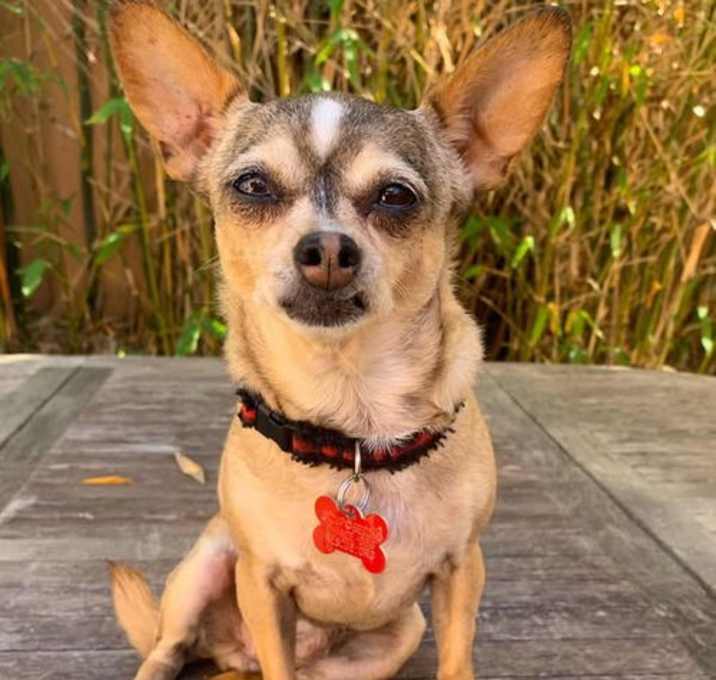 Photo of JamBerry