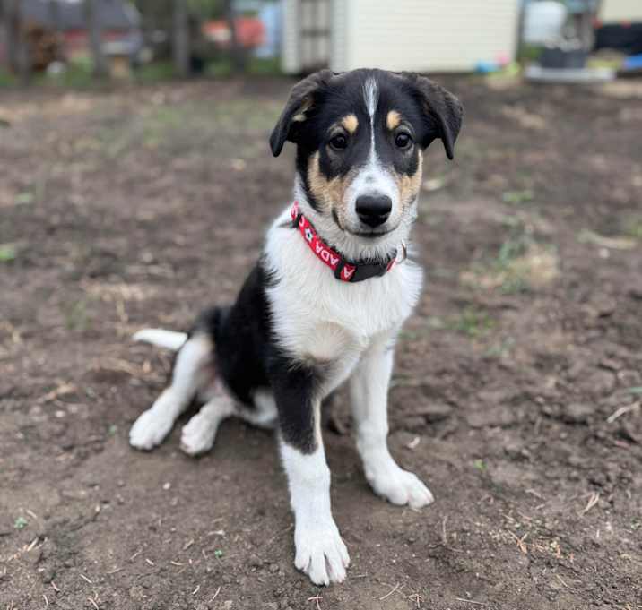 Photo of Jake