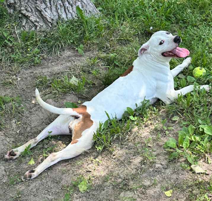 Photo of Delilah