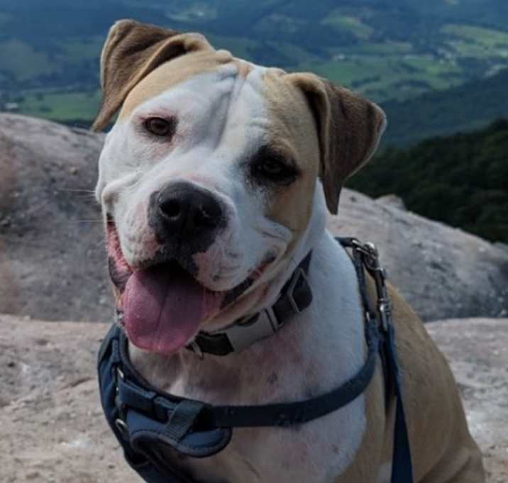 Photo of Billy
